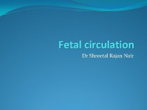 Fetal circulation Dr Shreetal Rajan Nair Fetal circulation