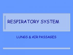 RESPIRATORY SYSTEM LUNGS AIR PASSAGES Function n TAKE