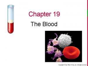 Chapter 19 The Blood Copyright John Wiley Sons