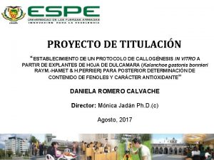 PROYECTO DE TITULACIN ESTABLECIMIENTO DE UN PROTOCOLO DE