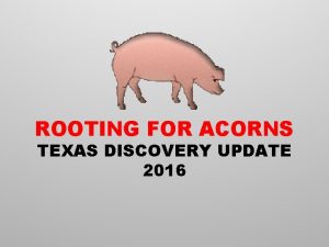 ROOTING FOR ACORNS TEXAS DISCOVERY UPDATE 2016 PART