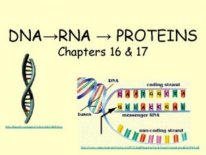 DNARNA PROTEINS Chapters 16 17 http faculty uca