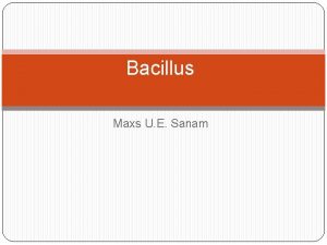 Bacillus Maxs U E Sanam Anthrax Introduction Anthrax