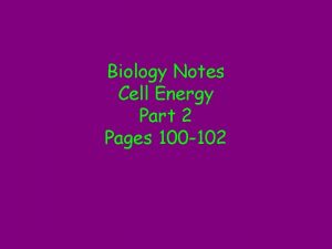 Biology Notes Cell Energy Part 2 Pages 100