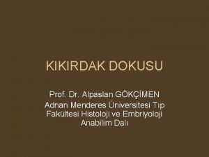 KIKIRDAK DOKUSU Prof Dr Alpaslan GKMEN Adnan Menderes