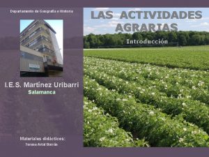 Departamento de Geografa e Historia LAS ACTIVIDADES AGRARIAS