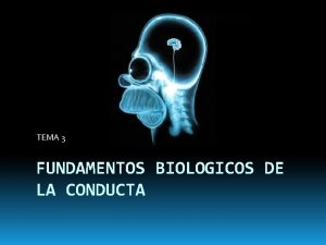 TEMA 3 FUNDAMENTOS BIOLOGICOS DE LA CONDUCTA INDICE