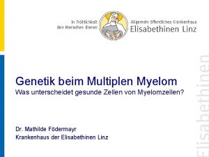 Genetik beim Multiplen Myelom Was unterscheidet gesunde Zellen