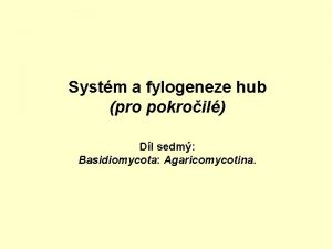 Systm a fylogeneze hub pro pokroil Dl sedm