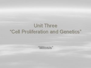 Unit Three Cell Proliferation and Genetics Mitosis Prokaryotic