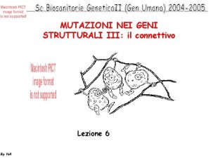 MUTAZIONI NEI GENI STRUTTURALI III il connettivo Lezione