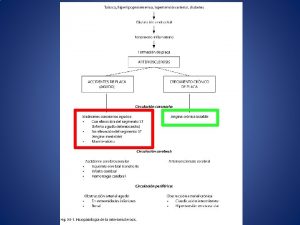 Cardiopata isqumica arterioesclerosis coronaria CASO CLNICO Paciente masculino