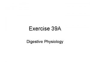 Exercise 39 A Digestive Physiology The Digestive Process