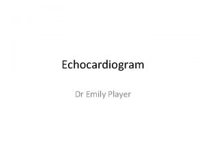 Echocardiogram Dr Emily Player 2 D Echo Structural