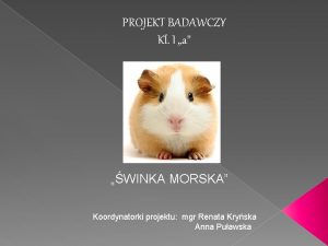 PROJEKT BADAWCZY Kl I a WINKA MORSKA Koordynatorki