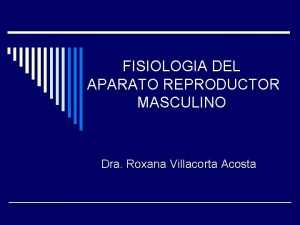 FISIOLOGIA DEL APARATO REPRODUCTOR MASCULINO Dra Roxana Villacorta