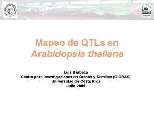 Mapeo de QTLs en Arabidopsis thaliana Luis Barboza