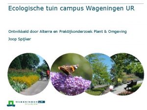 Ecologische tuin campus Wageningen UR Ontwikkeld door Alterra