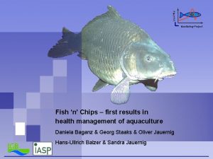 Fisch FIT MonitoringProject Fish n Chips first results