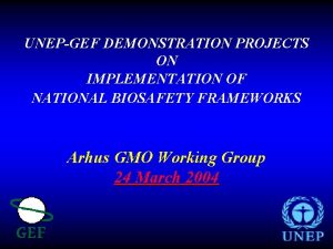 UNEPGEF DEMONSTRATION PROJECTS ON IMPLEMENTATION OF NATIONAL BIOSAFETY