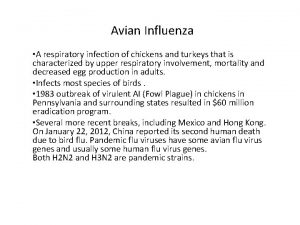 Avian Influenza A respiratory infection of chickens and