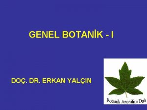 GENEL BOTANK I DO DR ERKAN YALIN CANLILARIN