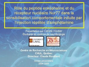 Rle du peptide enkphaline et du rcepteur nuclaire