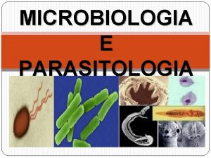 MICROBIOLOGIA E PARASITOLOGIA MICROBIOLOGIA Microbiologia Mikros pequeno Bio