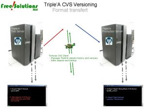 TripleA CVS Versioning Format transfert TripleA Test Server