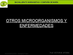 BACHILLERATO MARIANISTAS COMPAA DE MARA OTROS MICROORGANISMOS Y