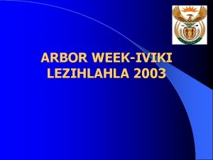 ARBOR WEEKIVIKI LEZIHLAHLA 2003 BACKGROUND TRACED BACK 500
