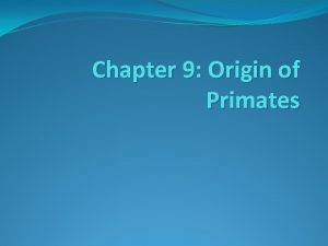 Chapter 9 Origin of Primates Rise First Primates