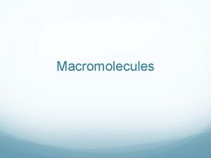 Macromolecules Life Small Picture to Big Picture Macromolecules