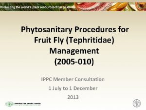 Phytosanitary Procedures for Fruit Fly Tephritidae Management 2005