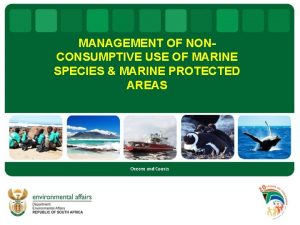 MANAGEMENT OF NONCONSUMPTIVE USE OF MARINE SPECIES MARINE