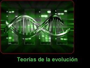 Teoras de la evolucin I Fijismo o Fixismo