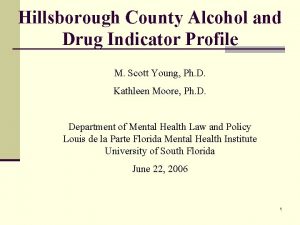Hillsborough County Alcohol and Drug Indicator Profile M