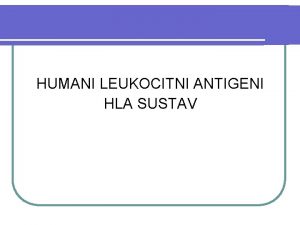 HUMANI LEUKOCITNI ANTIGENI HLA SUSTAV Leukocitni antigeni l