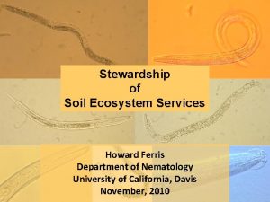 Stewardship of Soil Ecosystem Services Howard Ferris Department