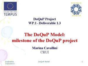 Do Qu P Project WP 1 Deliverable 1