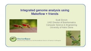 Integrated genome analysis using Makeflow friends Scott Emrich