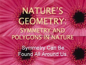 NATURES GEOMETRY SYMMETRY AND POLYGONS IN NATURE Symmetry