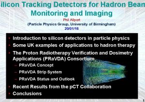 Silicon Tracking Detectors for Hadron Beam Monitoring and