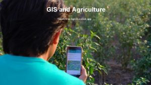 GIS and Agriculture Green Way Agrilivestock app Green
