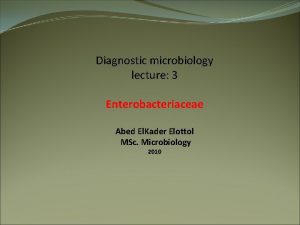 Diagnostic microbiology lecture 3 Enterobacteriaceae Abed El Kader