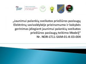 Jaunimui palanki sveikatos prieiros paslaug Elektrn savivaldybje prieinamumo