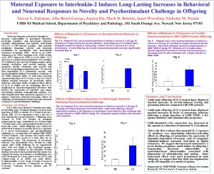 Maternal Exposure to Interleukin2 Induces LongLasting Increases in