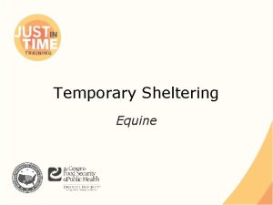 Temporary Sheltering Equine Situations Natural Disasters Displacement Rescue