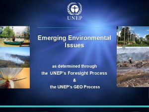 Emerging Environmental Issues as determined through the UNEPs