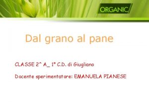 Dal grano al pane CLASSE 2 A 1